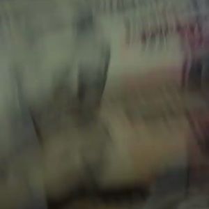 Meet your Posher, Max